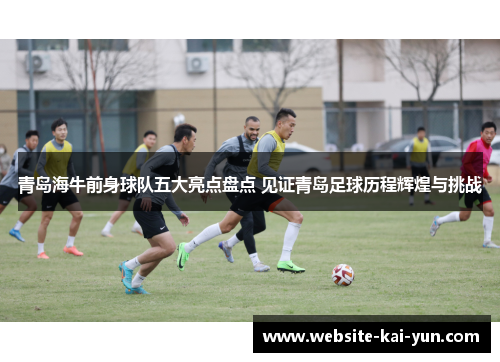 青岛海牛前身球队五大亮点盘点 见证青岛足球历程辉煌与挑战